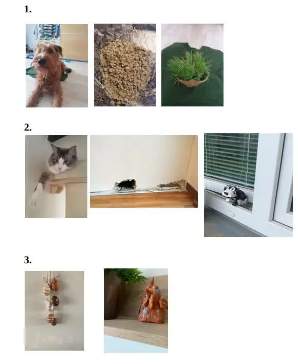 Hudba v jakékoliv podobě. 1